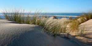 Bassin d'Arcachon